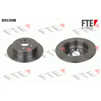 Jeu de 2 disques de frein arrière FTE BS5299B