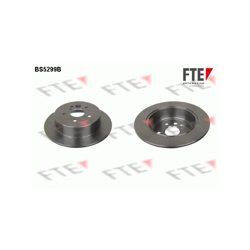 Jeu de 2 disques de frein arrière FTE BS5299B