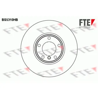 Jeu de 2 disques de frein avant FTE BS5310HB