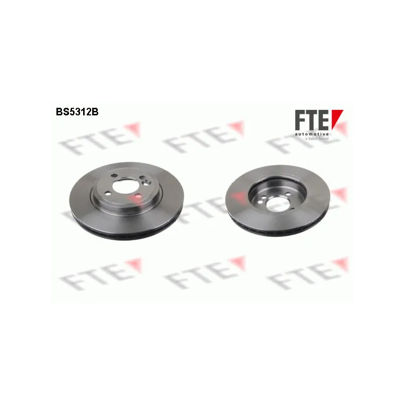 Jeu de 2 disques de frein avant FTE BS5312B