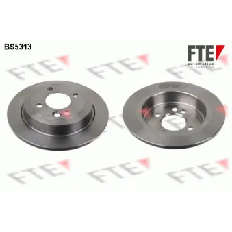 Jeu de 2 disques de frein arrière FTE BS5313