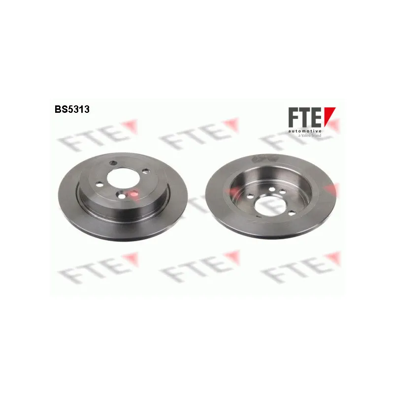 Jeu de 2 disques de frein arrière FTE BS5313