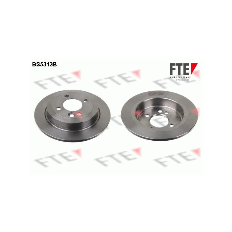 Jeu de 2 disques de frein arrière FTE BS5313B