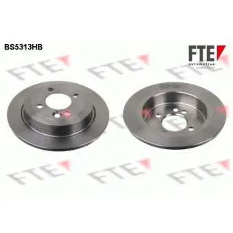 Jeu de 2 disques de frein arrière FTE BS5313HB