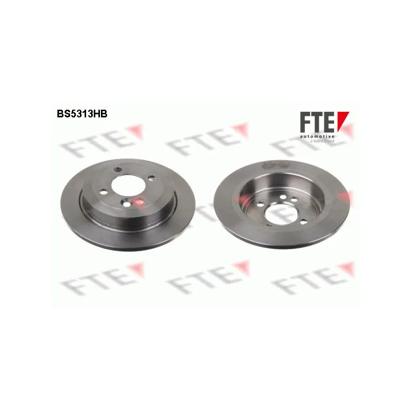 Jeu de 2 disques de frein arrière FTE BS5313HB