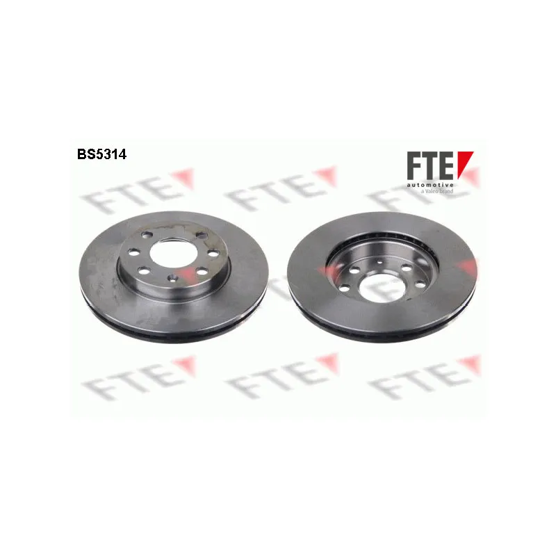 Jeu de 2 disques de frein avant FTE BS5314