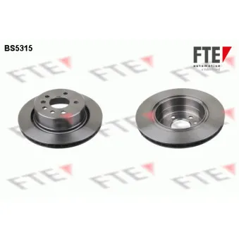Jeu de 2 disques de frein arrière FTE BS5315