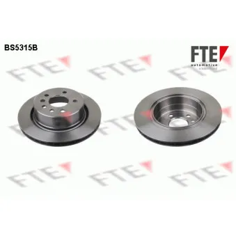 Jeu de 2 disques de frein arrière FTE
