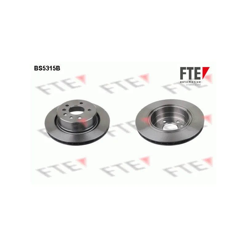 Jeu de 2 disques de frein arrière FTE BS5315B