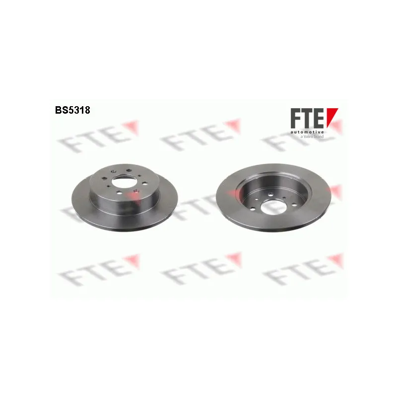 Jeu de 2 disques de frein arrière FTE BS5318