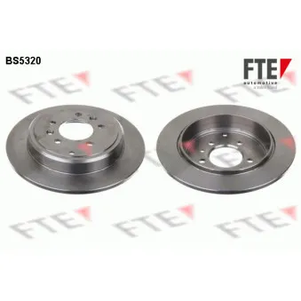 Jeu de 2 disques de frein arrière FTE BS5320
