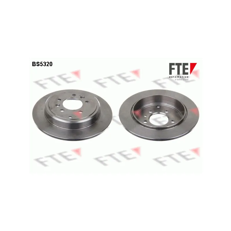 Jeu de 2 disques de frein arrière FTE BS5320