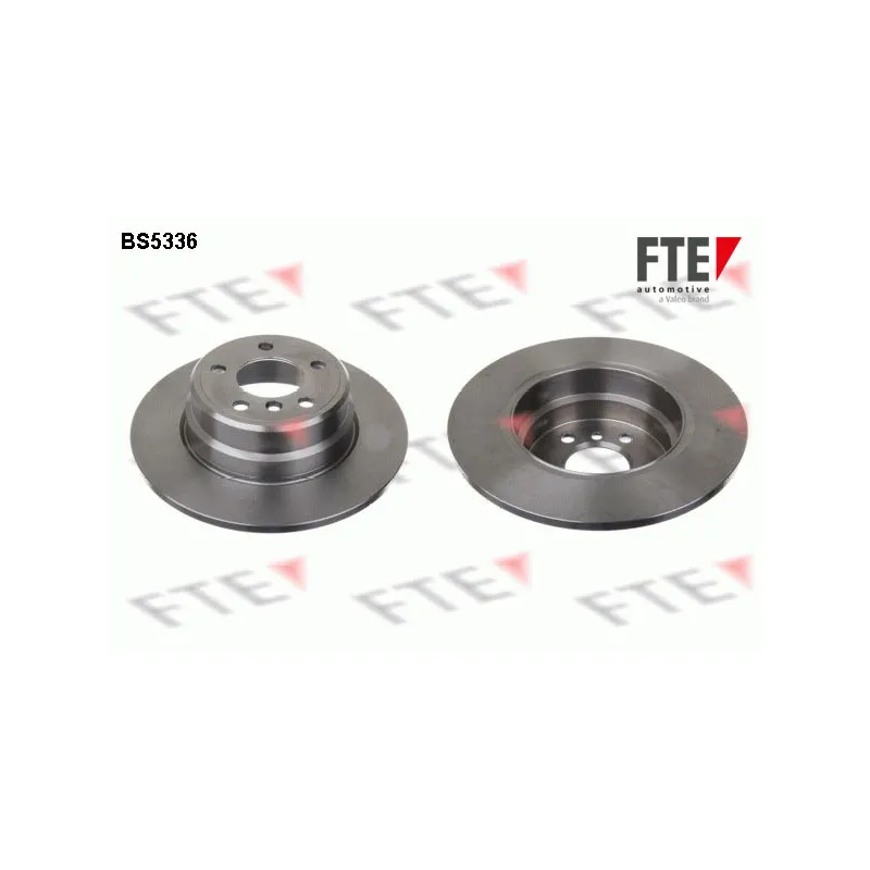 Jeu de 2 disques de frein arrière FTE BS5336