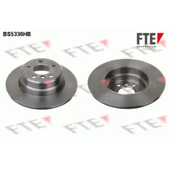 Jeu de 2 disques de frein arrière FTE BS5336HB