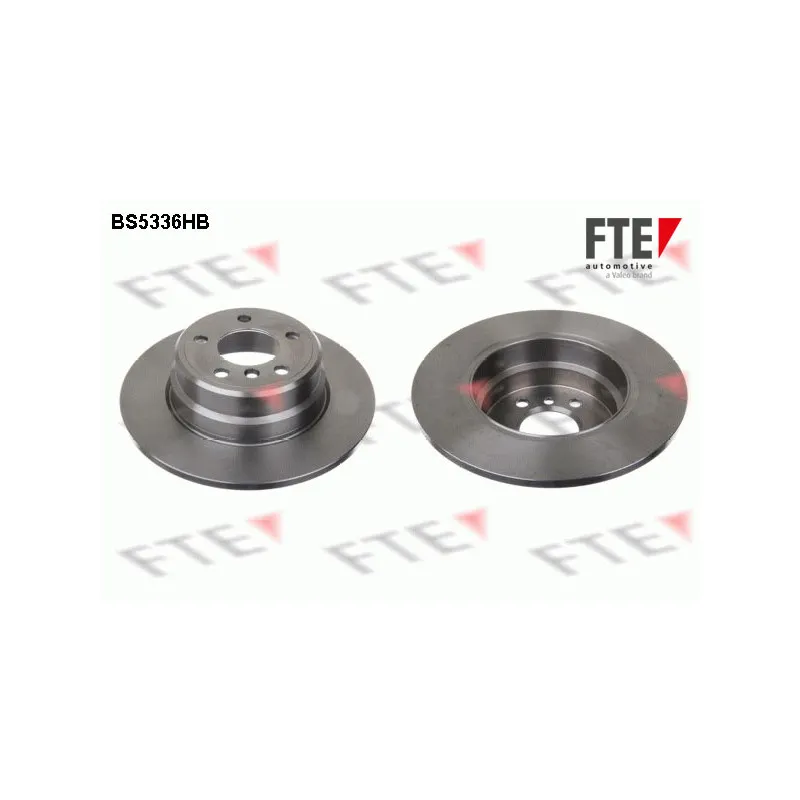 Jeu de 2 disques de frein arrière FTE BS5336HB