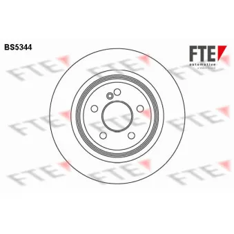 Jeu de 2 disques de frein arrière FTE BS5344