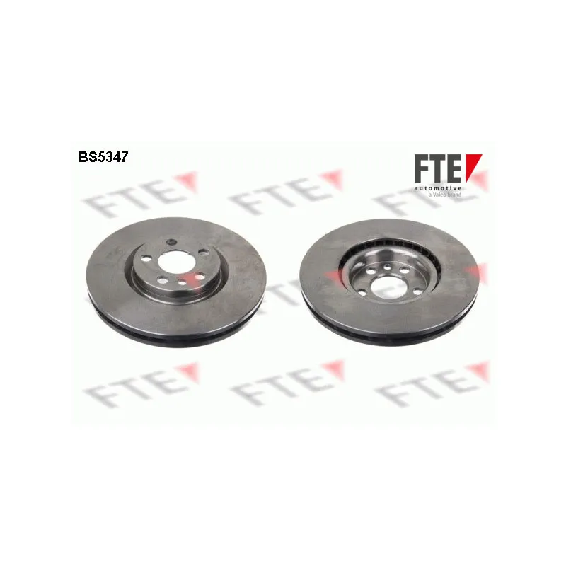 Jeu de 2 disques de frein avant FTE BS5347