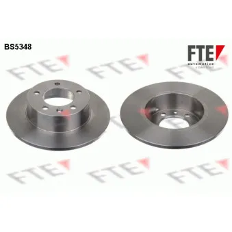 Jeu de 2 disques de frein arrière FTE BS5348