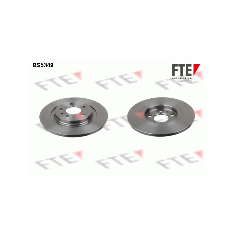 Jeu de 2 disques de frein arrière FTE BS5349