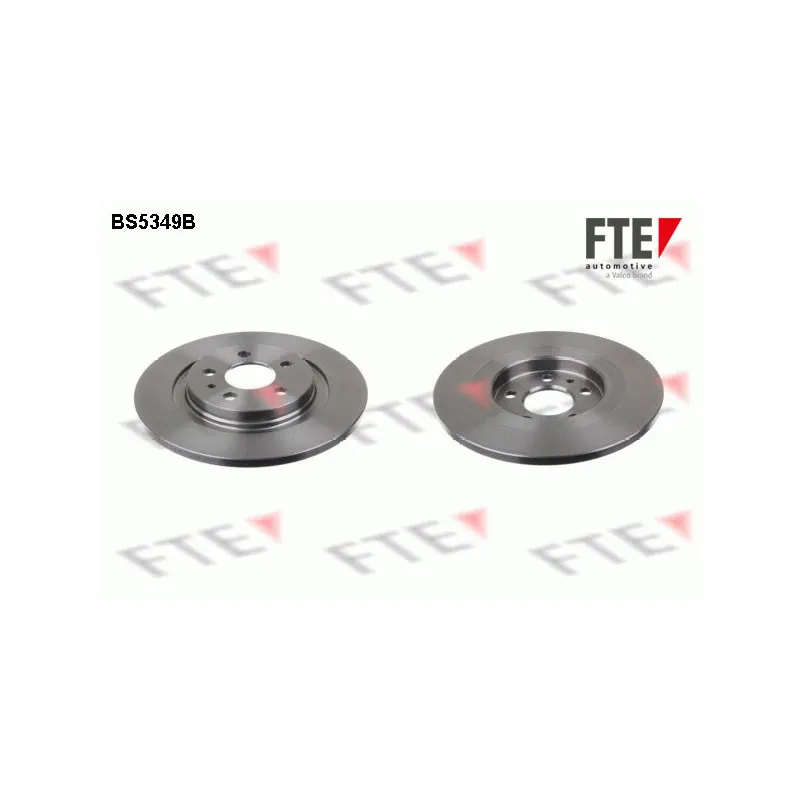 Jeu de 2 disques de frein arrière FTE BS5349B