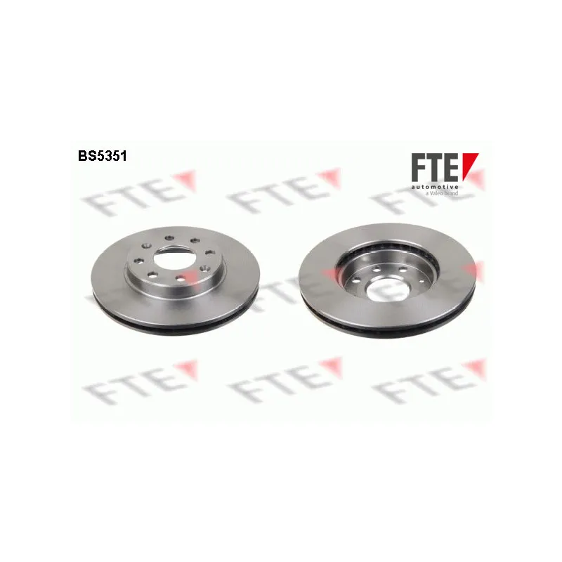 Jeu de 2 disques de frein avant FTE BS5351
