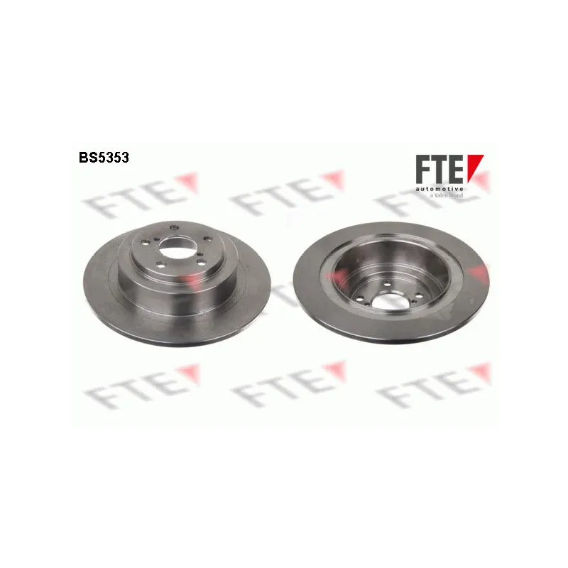 Jeu de 2 disques de frein arrière FTE BS5353