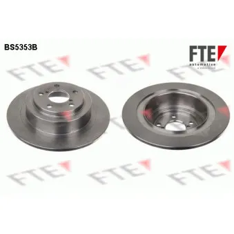 Jeu de 2 disques de frein arrière FTE BS5353B