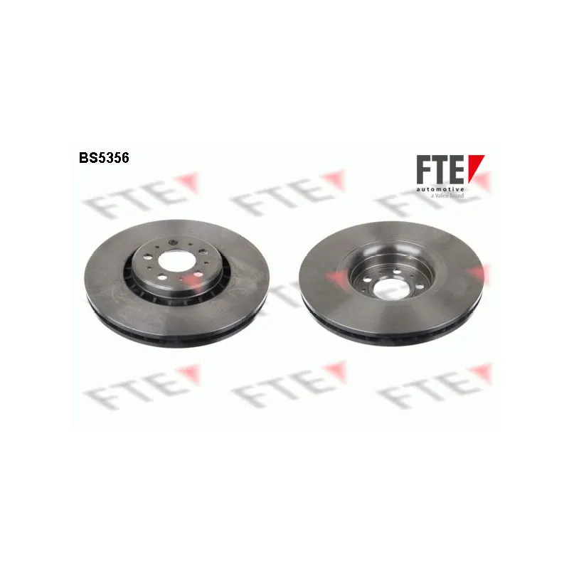 Jeu de 2 disques de frein avant FTE BS5356