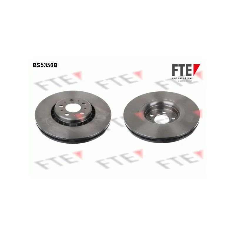 Jeu de 2 disques de frein avant FTE BS5356B