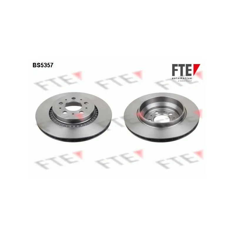 Jeu de 2 disques de frein arrière FTE BS5357