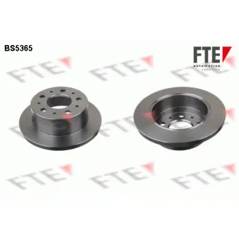 Jeu de 2 disques de frein arrière FTE BS5365