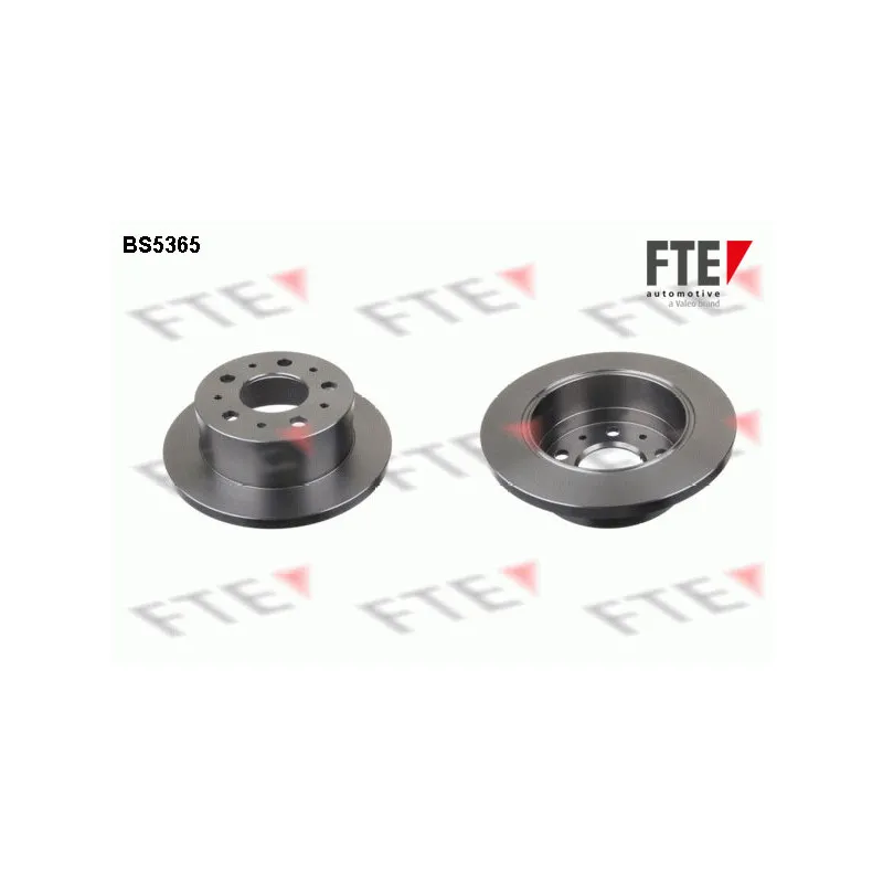 Jeu de 2 disques de frein arrière FTE BS5365