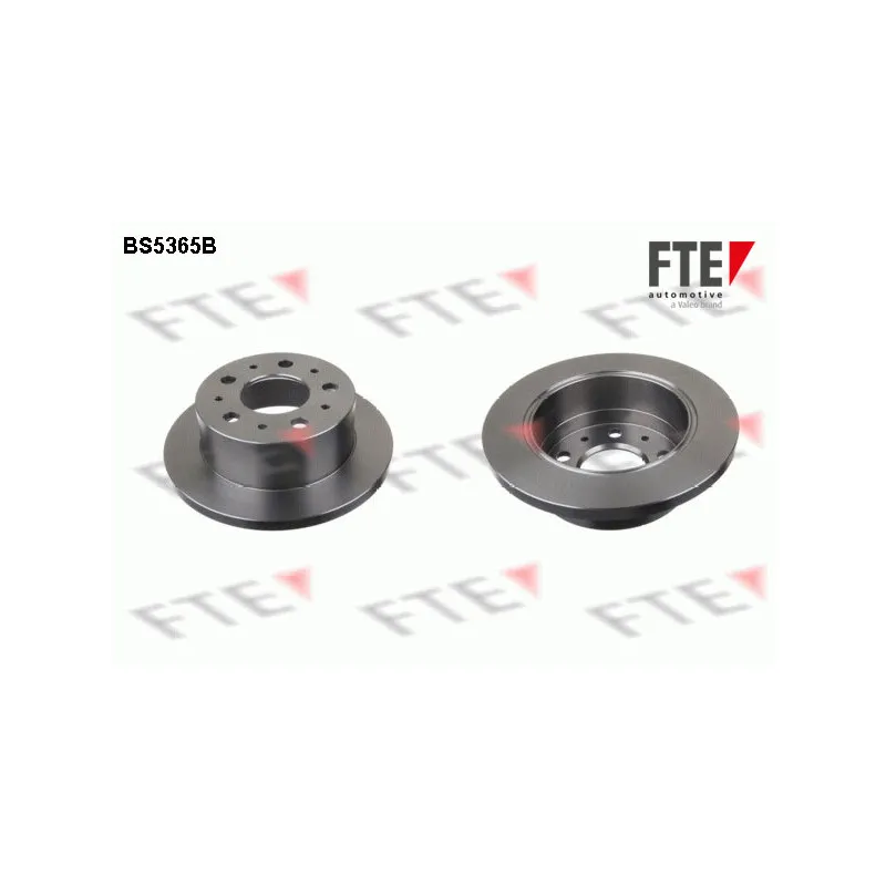 Jeu de 2 disques de frein arrière FTE BS5365B
