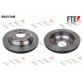 Jeu de 2 disques de frein arrière FTE BS5372HB
