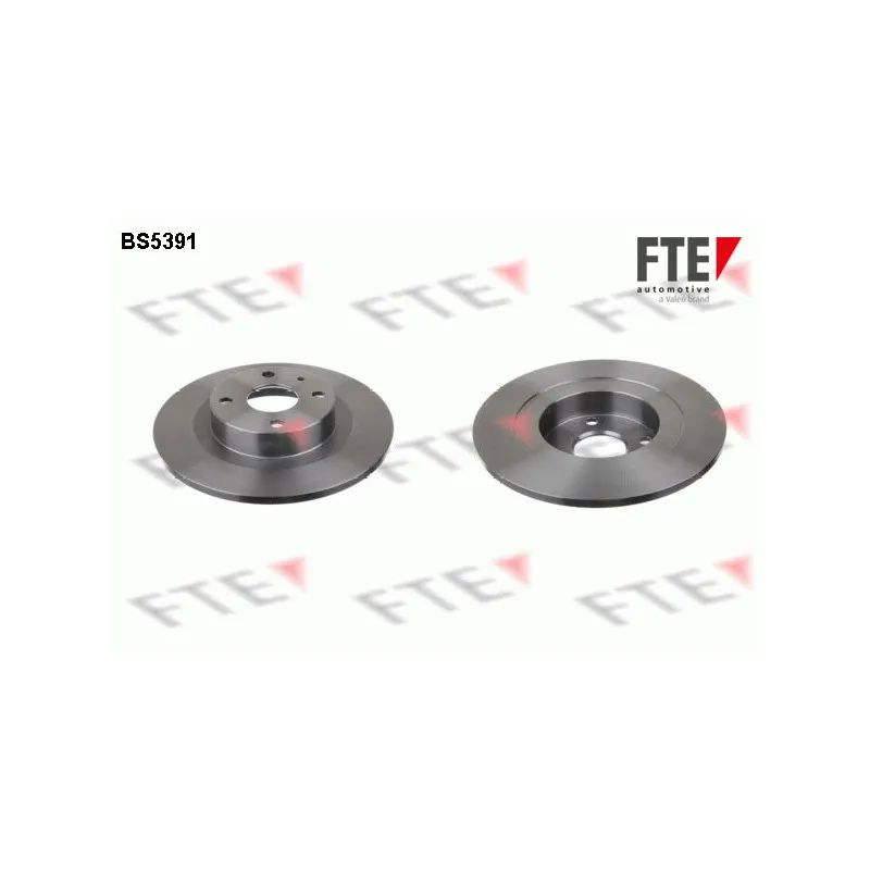 Jeu de 2 disques de frein arrière FTE BS5391