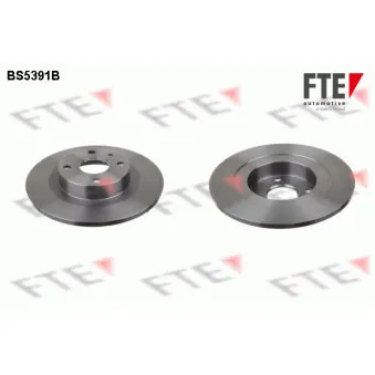 Jeu de 2 disques de frein arrière FTE BS5391B