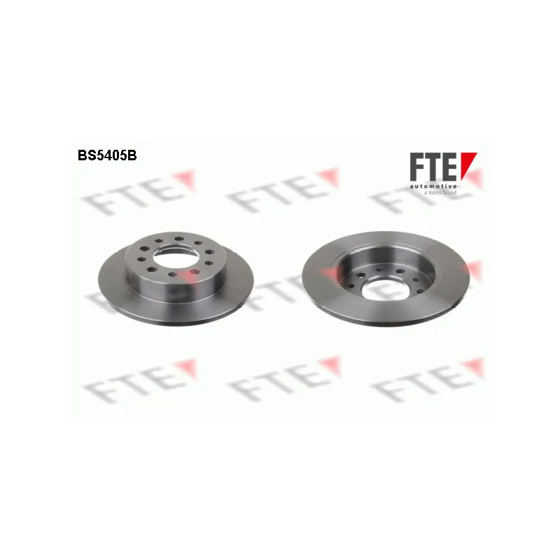 Jeu de 2 disques de frein arrière FTE BS5405B