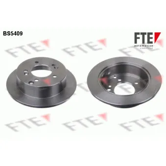 Jeu de 2 disques de frein arrière FTE BS5409