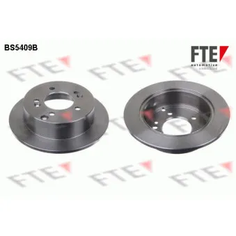 Jeu de 2 disques de frein arrière FTE BS5409B