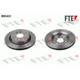 Jeu de 2 disques de frein arrière FTE BS5422