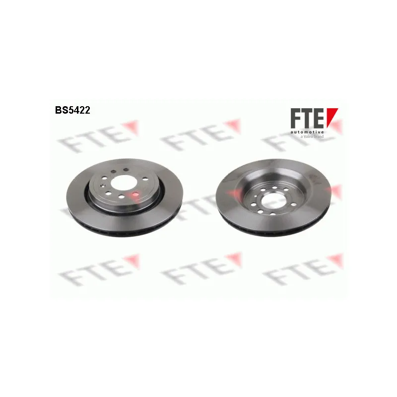 Jeu de 2 disques de frein arrière FTE BS5422