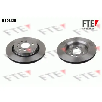 Jeu de 2 disques de frein arrière FTE BS5422B