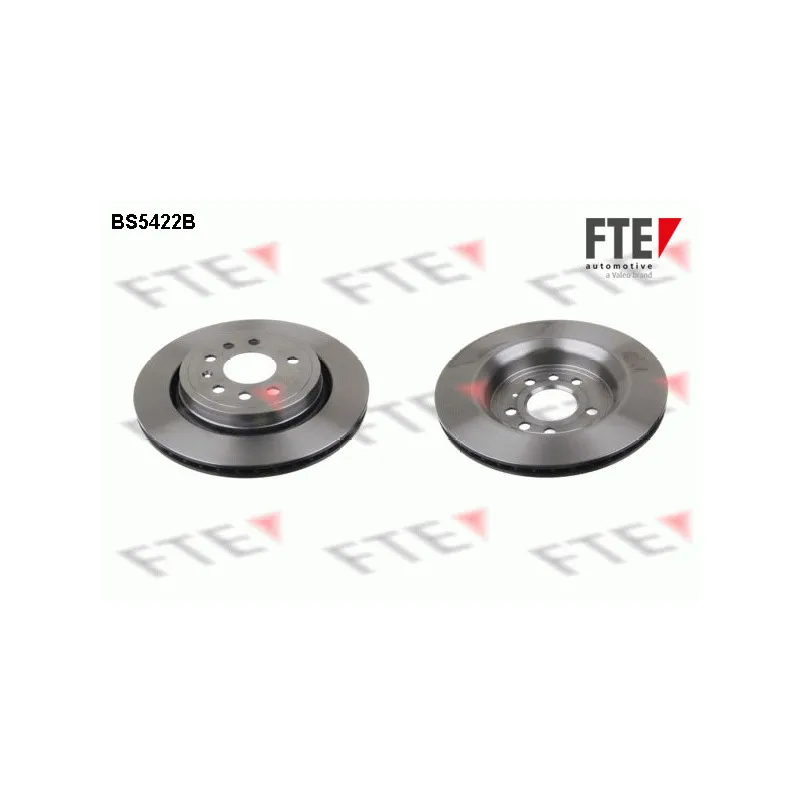Jeu de 2 disques de frein arrière FTE BS5422B