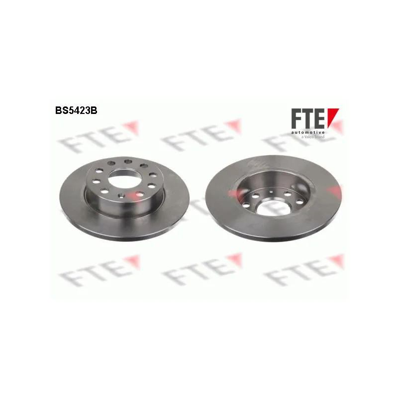 Jeu de 2 disques de frein arrière FTE BS5423B