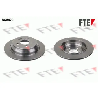 Jeu de 2 disques de frein arrière FTE BS5429