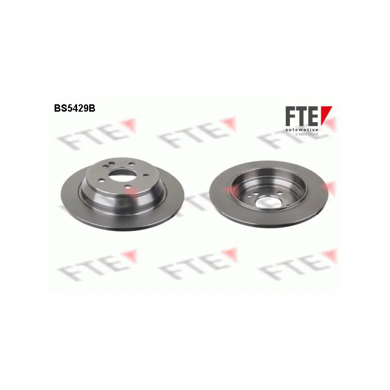 Jeu de 2 disques de frein arrière FTE BS5429B
