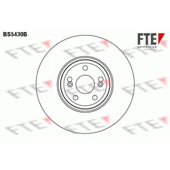 Jeu de 2 disques de frein avant FTE BS5430B