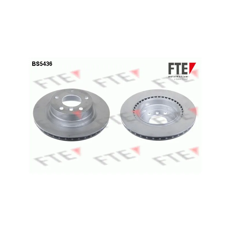 Jeu de 2 disques de frein arrière FTE BS5436