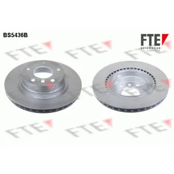 Jeu de 2 disques de frein arrière FTE BS5436B