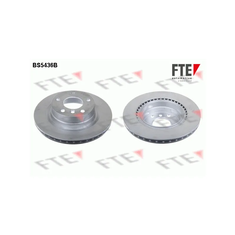 Jeu de 2 disques de frein arrière FTE BS5436B